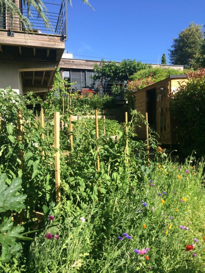 Les Terrasses De Rochetaillee Panzió Kültér fotó